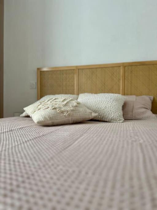 Apartament Le Petit Rameau - T2 Hypercentre Clermont-Ferrand Zewnętrze zdjęcie